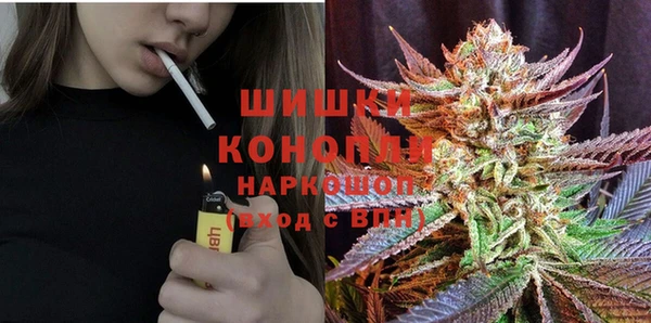 каннабис Инта