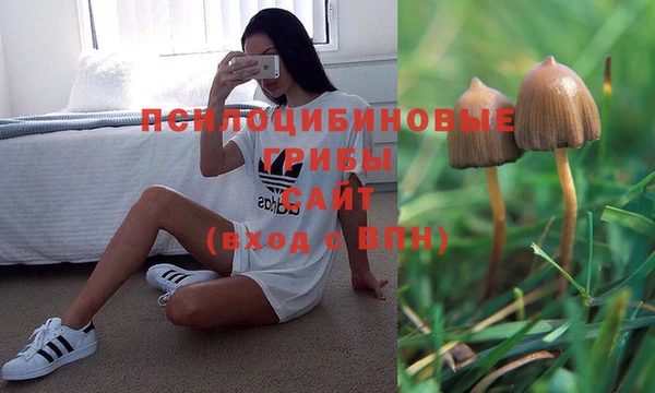 mix Инсар