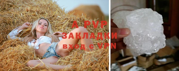каннабис Инта
